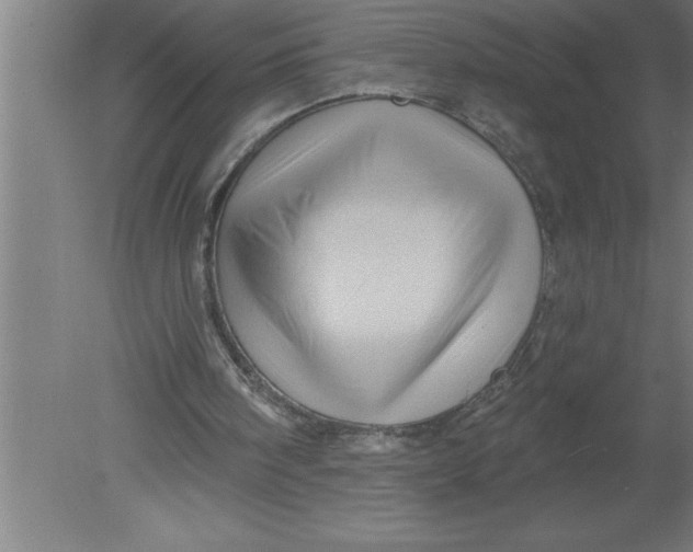 X0000080100098200612301928