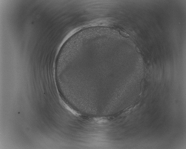 X0000080100100200612301928