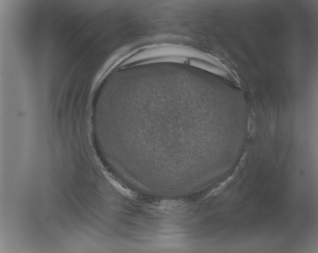 X0000080100101200612301928