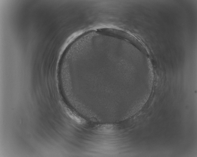 X0000080100104200612301928