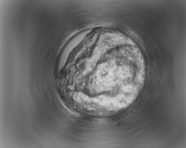 X0000080100107200612301928