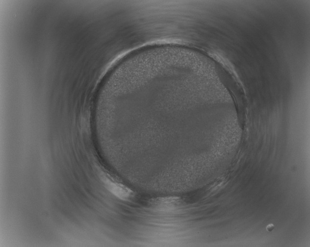 X0000080100108200612301928