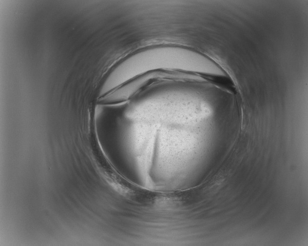 X0000080100109200612301928