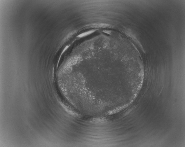 X0000080100110200612301928