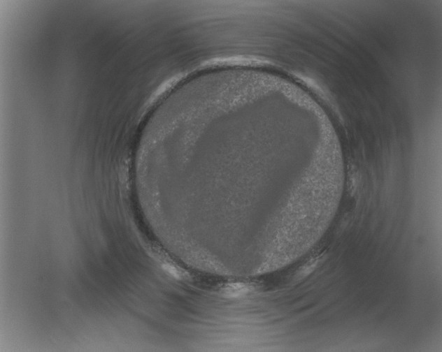 X0000080100111200612301928