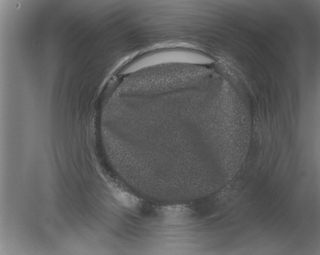 X0000080100112200612301928