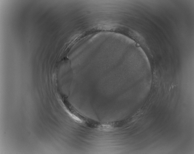 X0000080100114200612301928