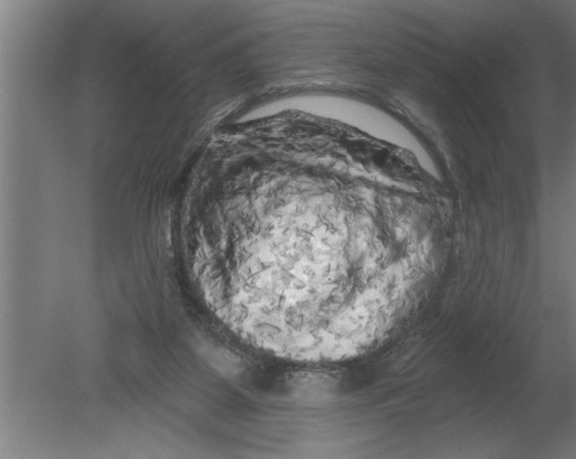 X0000080100115200612301928