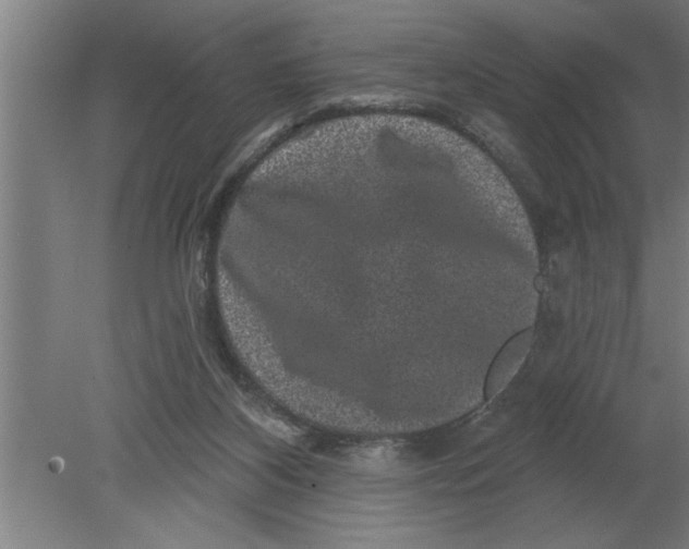 X0000080100116200612301928