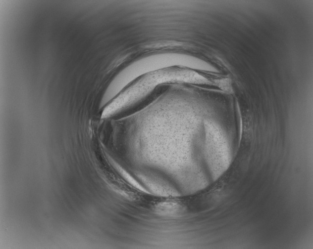 X0000080100119200612301928