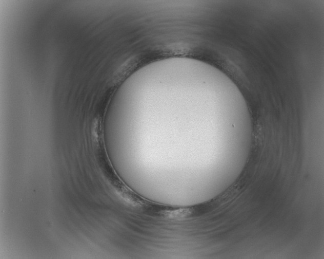 X0000080100122200612301928