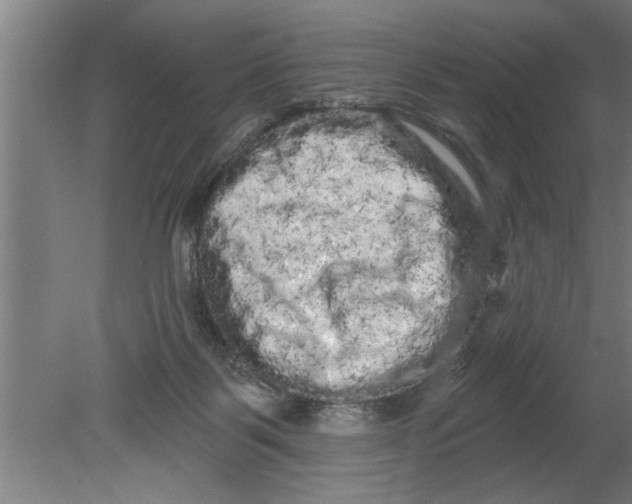 X0000080100123200612301928