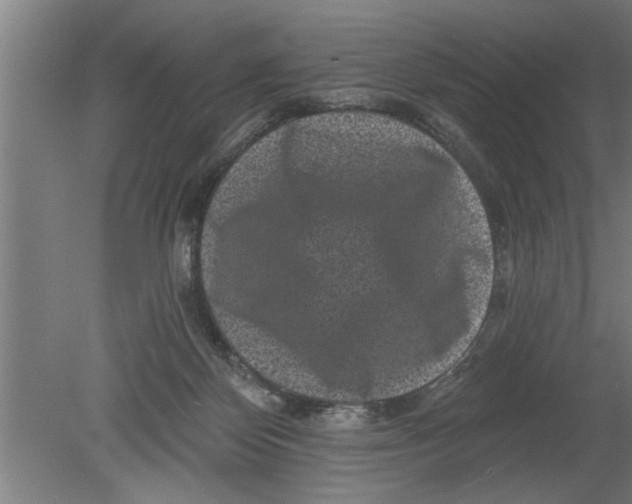 X0000080100124200612301928