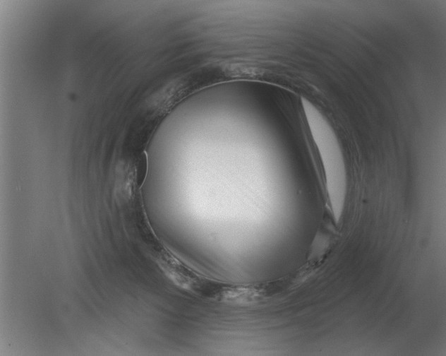 X0000080100125200612301928