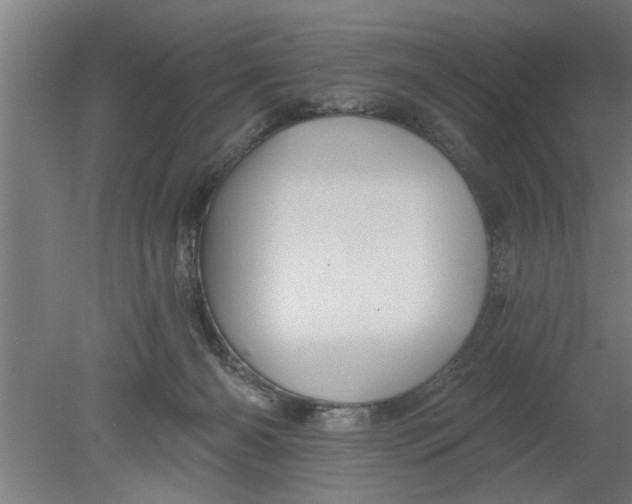 X0000080100126200612301928