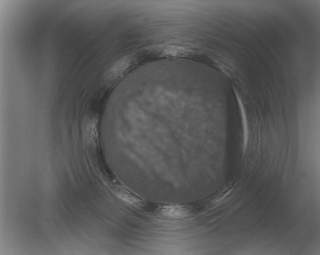 X0000080100127200612301928