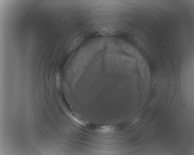 X0000080100130200612301928