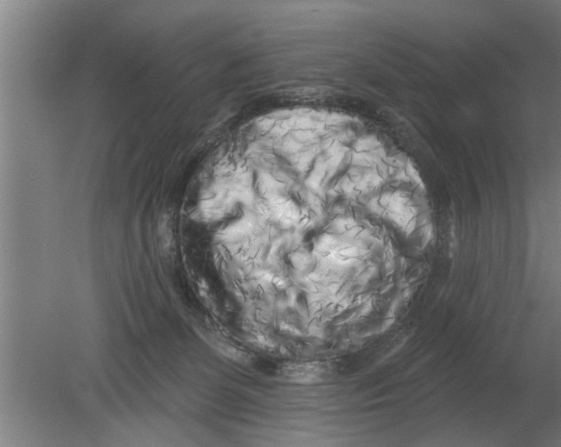 X0000080100131200612301928