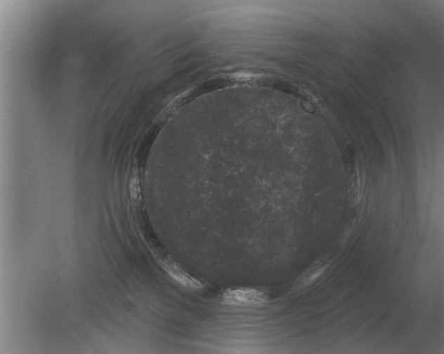 X0000080100137200612301927