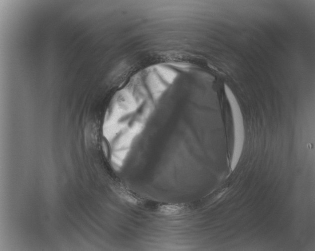 X0000080100139200612301927