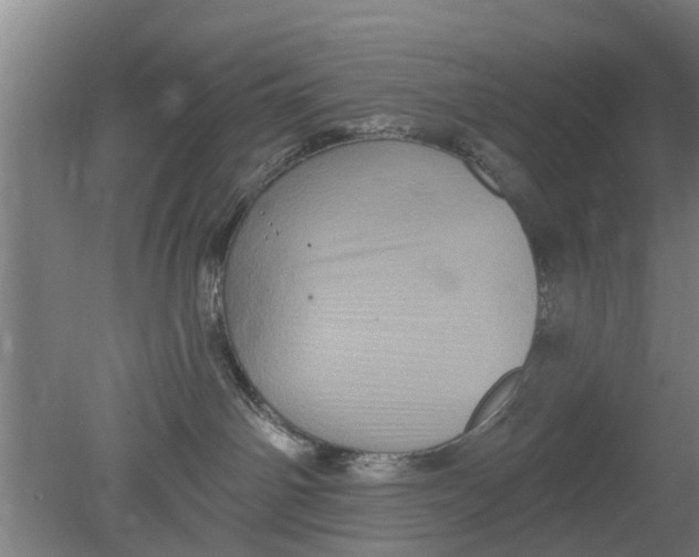 X0000080100142200612301927