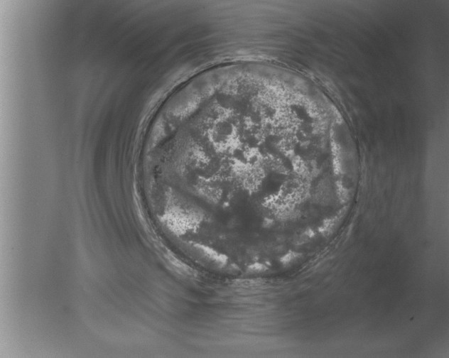 X0000080100145200612301927