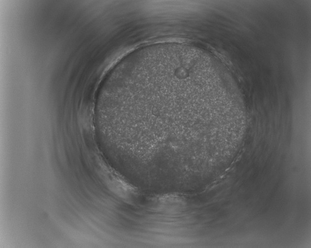 X0000080100146200612301927