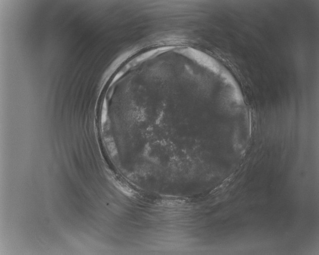 X0000080100147200612301927