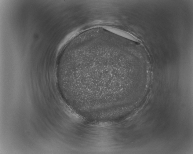 X0000080100149200612301927