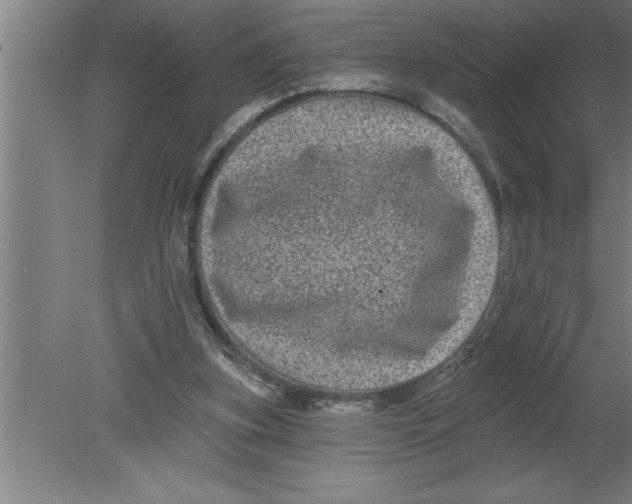 X0000080100155200612301927