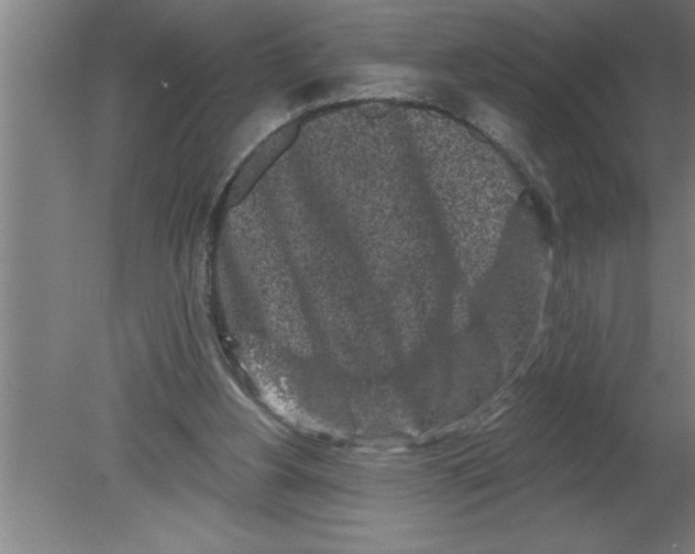 X0000080100156200612301927