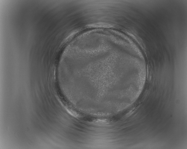 X0000080100157200612301927