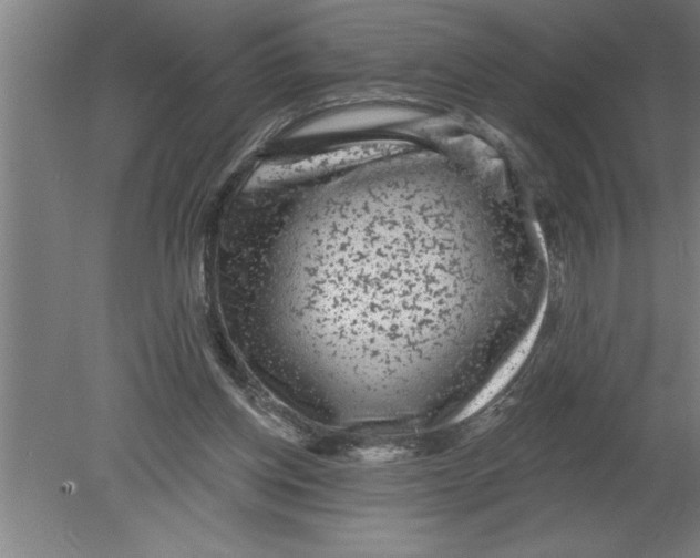 X0000080100158200612301927