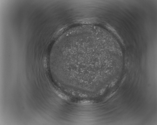 X0000080100161200612301927