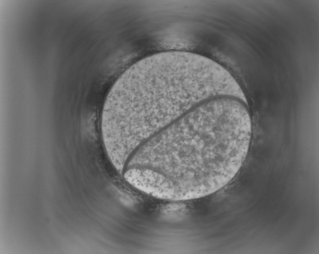 X0000080100162200612301927