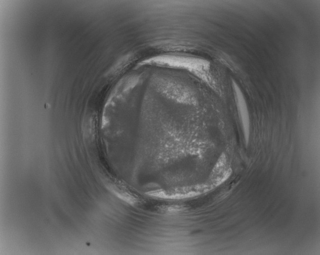 X0000080100165200612301927