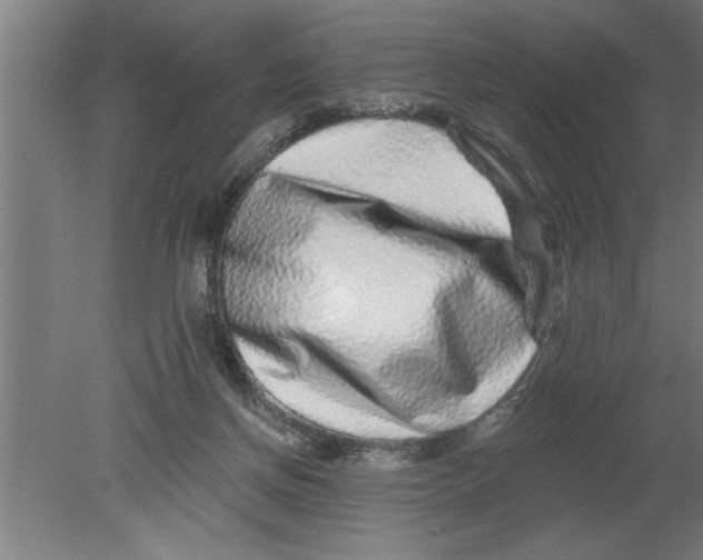 X0000080100166200612301927