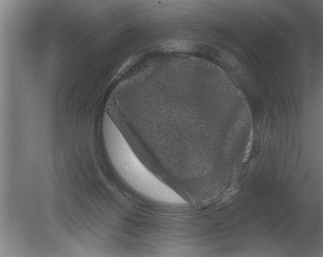 X0000080100168200612301927