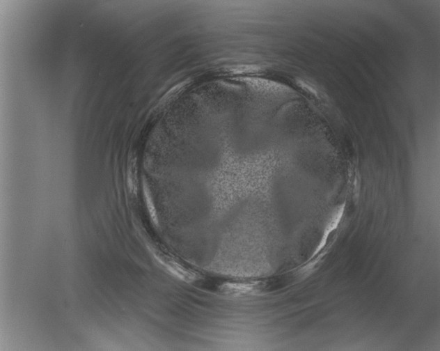 X0000080100170200612301927