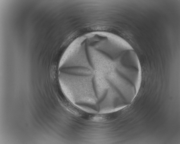 X0000080100171200612301927