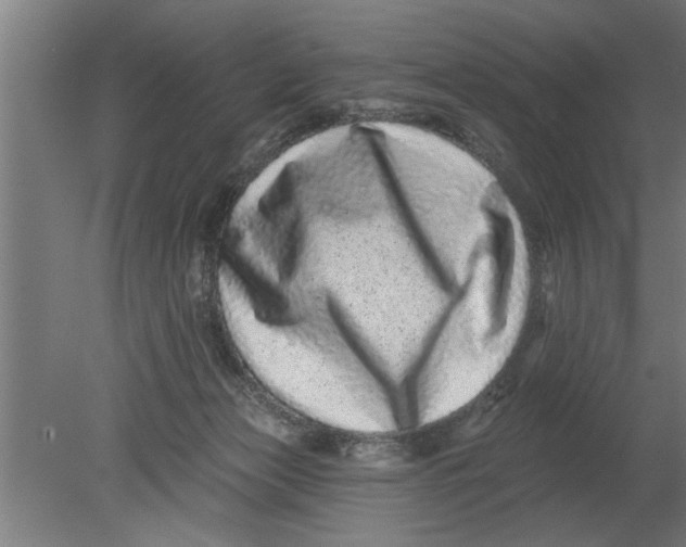 X0000080100173200612301927