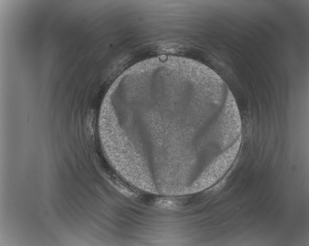 X0000080100174200612301927