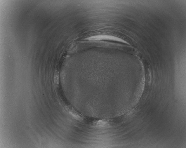 X0000080100180200612301927