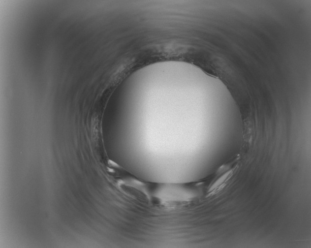 X0000080100184200612301927