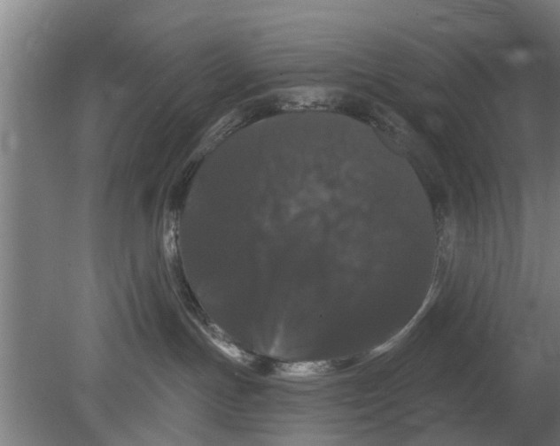 X0000080100191200612301927