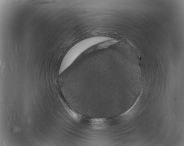 X0000080100192200612301927