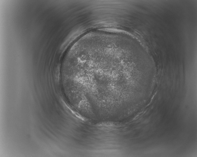 X0000080100194200612301927