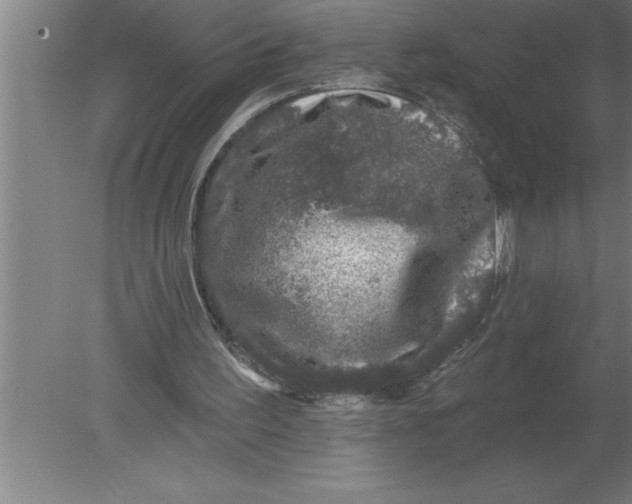 X0000080100195200612301926