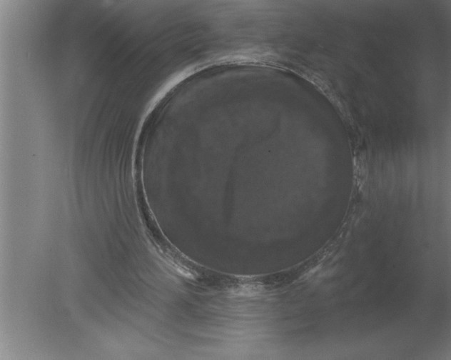 X0000080100196200612301926