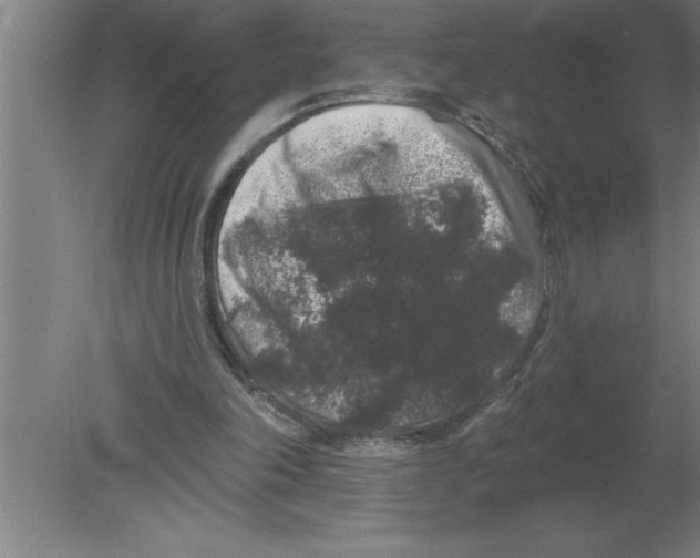 X0000080100198200612301926